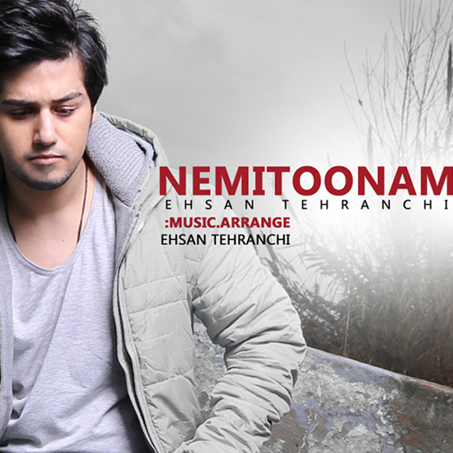 دانلود آهنگ نمیتونم